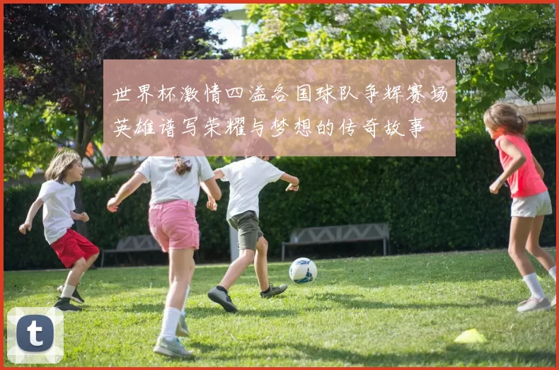 世界杯激情四溢各国球队争辉赛场英雄谱写荣耀与梦想的传奇故事