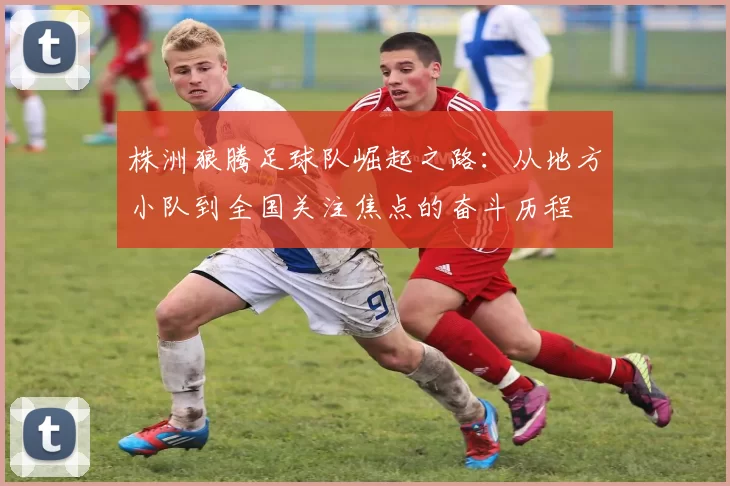株洲狼腾足球队崛起之路：从地方小队到全国关注焦点的奋斗历程