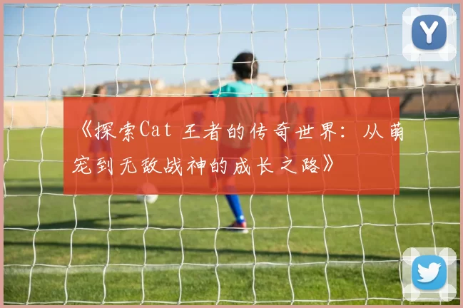 《探索Cat 王者的传奇世界：从萌宠到无敌战神的成长之路》