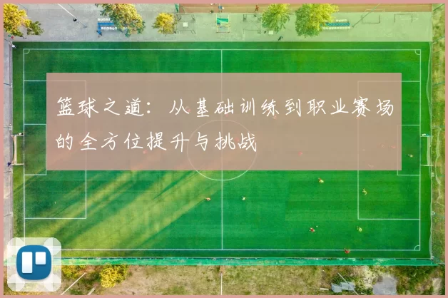 篮球之道：从基础训练到职业赛场的全方位提升与挑战