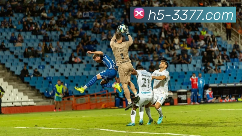 数据防护可视化